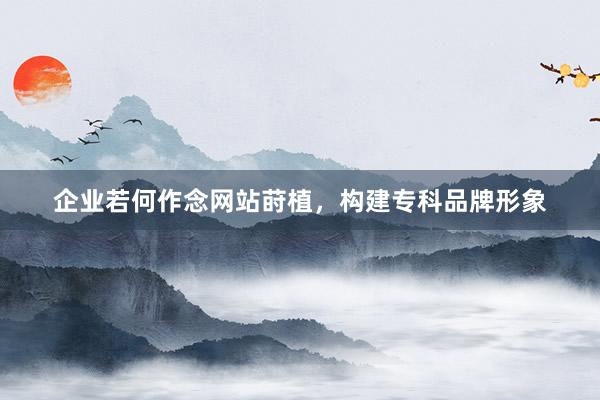 企业若何作念网站莳植，构建专科品牌形象