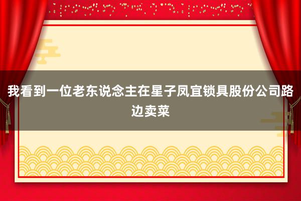 我看到一位老东说念主在星子凤宜锁具股份公司路边卖菜